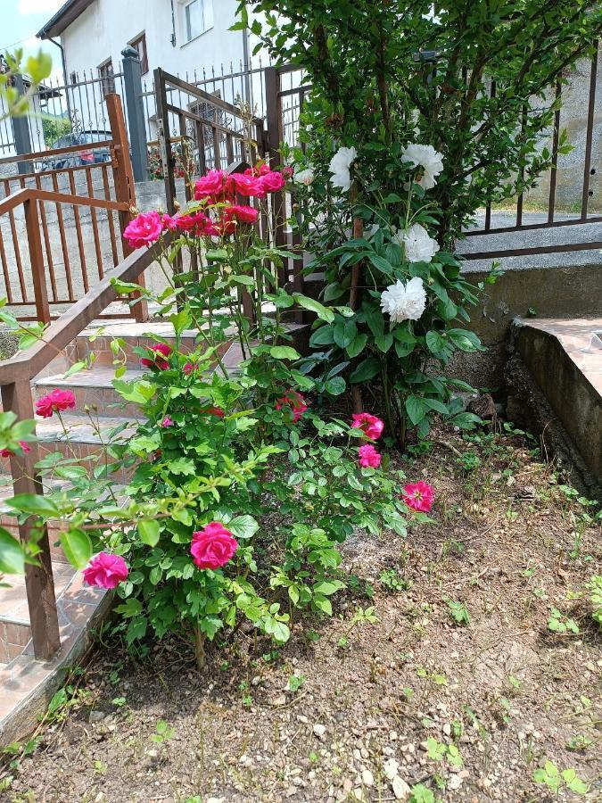 Apartmani Ba 塞拉耶佛 外观 照片